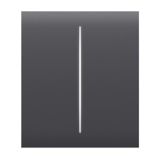 Кнопка Ajax CenterButton (2-gang) graphite для двоклавішного вимикача